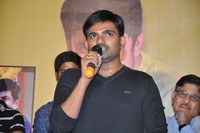 Bhale Bhale Magadivoy Movie  Successmeet Photos